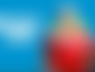 'തെരഞ്ഞെടുപ്പ്' ബജറ്റ് 2024