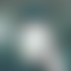 തൽക്കാൽ ബുക്കിംഗ് തട്ടിപ്പ്; 2 കോടിയിലധികം വ്യാജ യൂസർ ഐഡികൾ ബ്ലോക്ക് ചെയ്തു