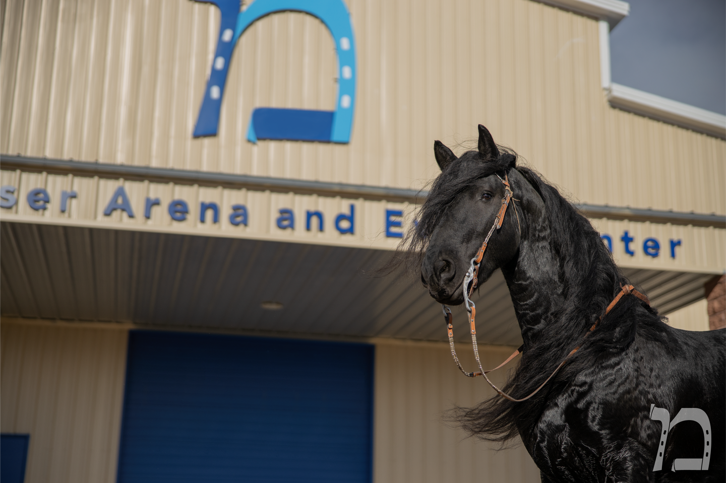 El Patron - Frisian Horse - Messer Arena Mascot