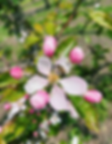 dd917390-9838-494c-b5a0-7596369fb544.png