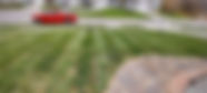Sod Installation