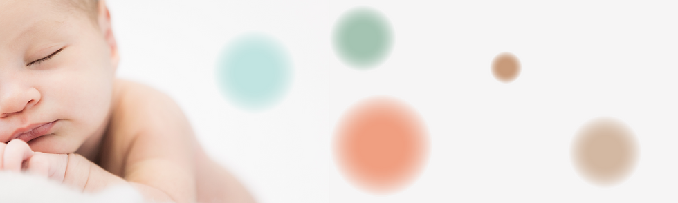 באנר BANER לוויקס WIX.png