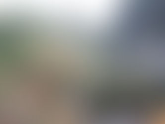 紅葉が始まりました