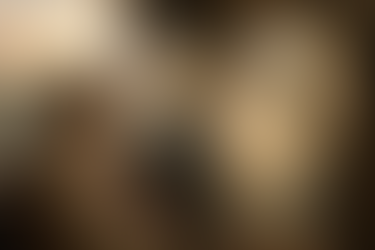 The Aging of Awareness: Ripening Where Science, Silence, and the Self Quietly Meet