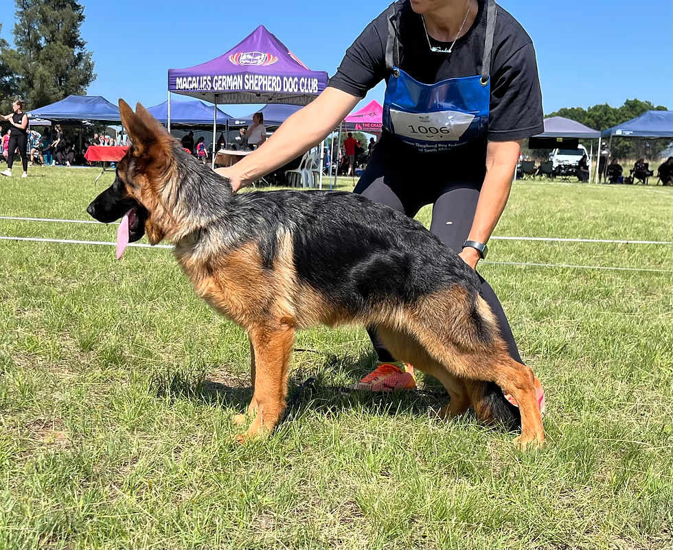 Oyster of Sharyleigh