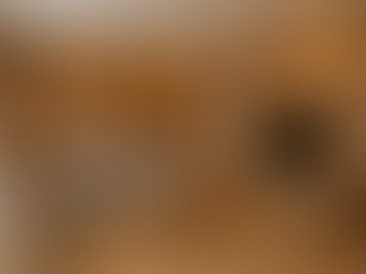 Топ 5 тенденции при интериорните стенни панели, които променят европейските домове през 2025 г.