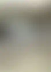 wmremove-transformed (1)