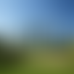 Arabian Ranches Golf Club in Dubai