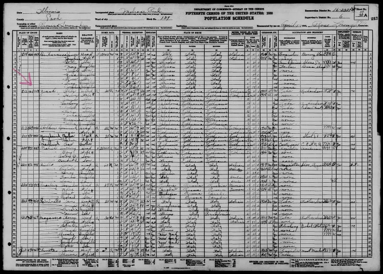 inked1930-united-states-federal-census_li.webp
