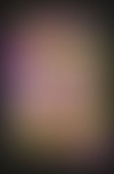 Review: Aces Wild: A Heist by Amanda DeWitt (Spoiler-Free)