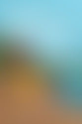 Review: The Romantic Agenda by Claire Kann (Spoiler-Alert)