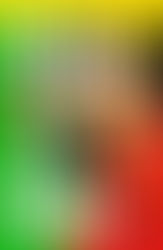 Review: Foul is Fair by Hannah Capin