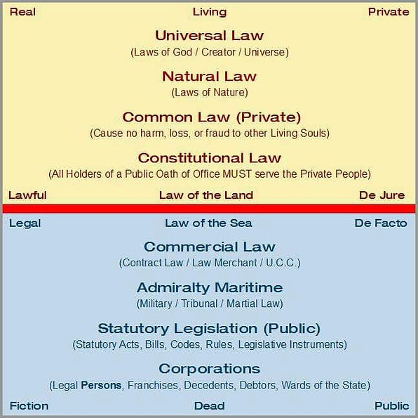 Real Law vs Fake Law.jpeg