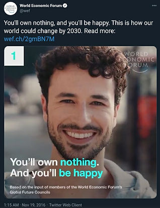 You Will Own Nothing, And You'll Be Happy.jpg