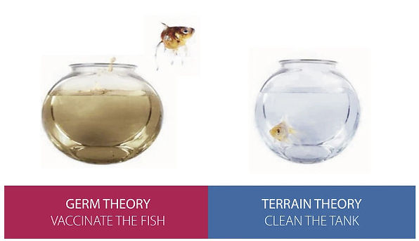 germ-theory-terrain-theory.jpg