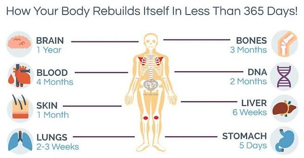 Howbodyrebuilds-655x342-2501834288.jpg