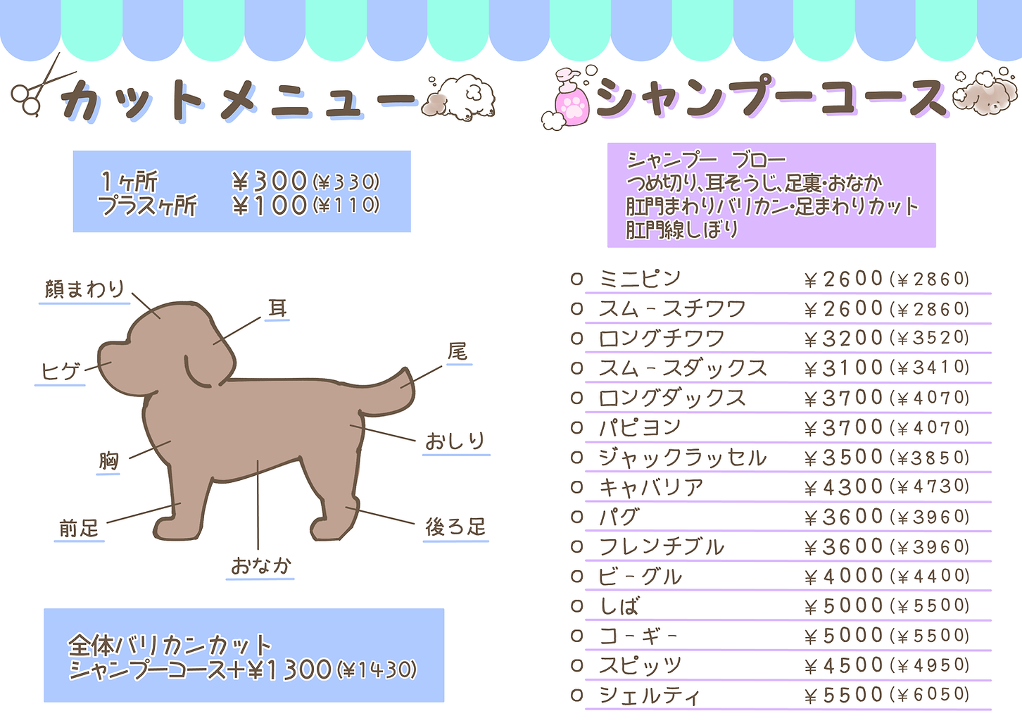 料金表店カラー.png