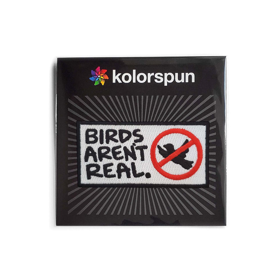Thumbnail: Birds Aren't Real Patch