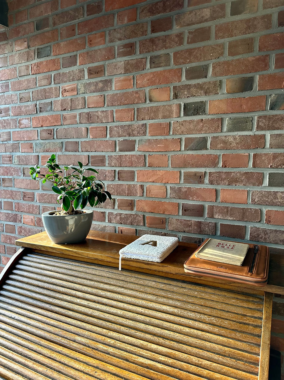 Miniature : BUREAU PERSIENNE