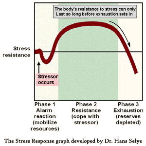 stress_response - Experiencing Life Foundation
