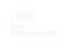 zecbasstlaurent-5aec0173a853ba014a15a43e