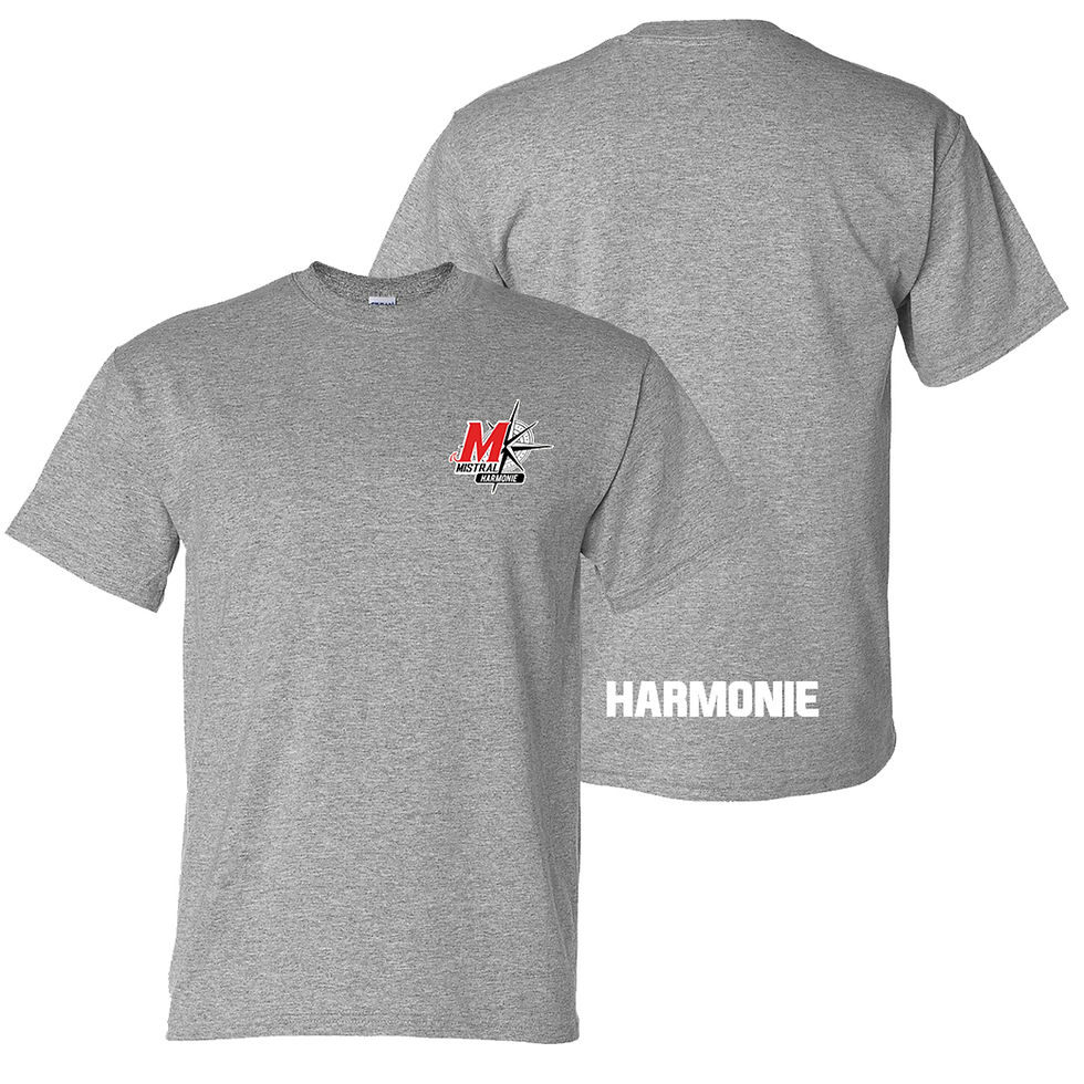 Thumbnail: HM06 - T-shirt Unisexe (junior et adulte)