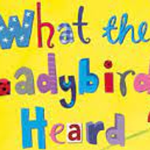 What The Ladybird Heard - LIVE