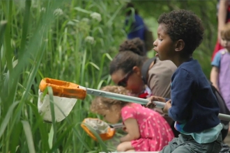 Wonderful Wildlife Weekends at Camley Street Natural Park