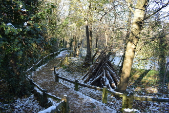 Urban Nature Club at Camley Street Natural Park: Humble Habitats