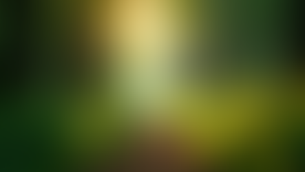 School Educational Programs: Building Knowledge with Nature and Culture