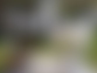 Une scénographie à votre image