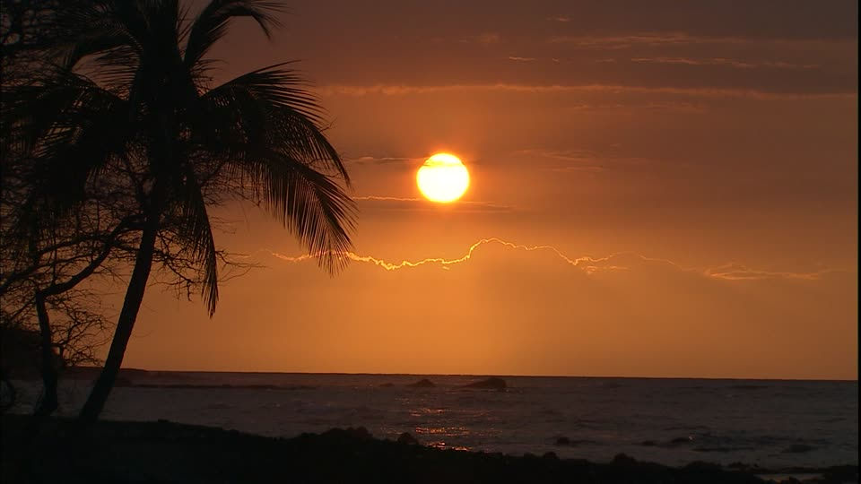 855855604-palma-hawai-isla-vista-al-mar-