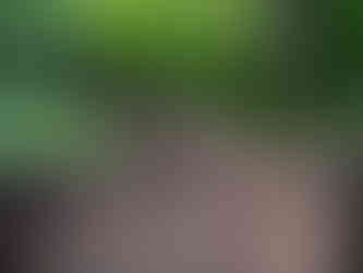 Copper Harbor Trails