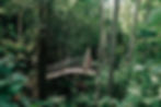 A mountain biker rides over a bridge at the base of East Bluff on the Copper Harbor Trail System.