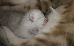 IMG_7219.aJPG