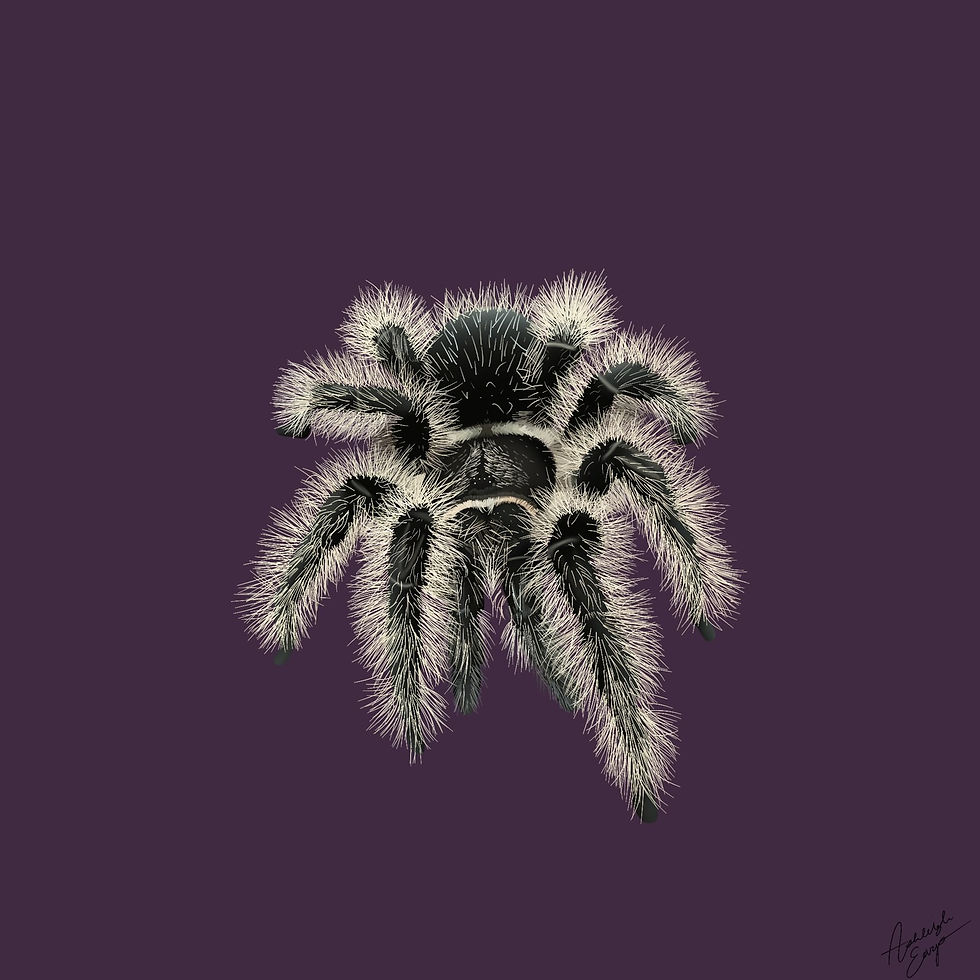 Thumbnail: Digital Art - 4"x 4" Photoprint