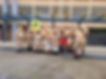 Schnitzelbank.jpeg