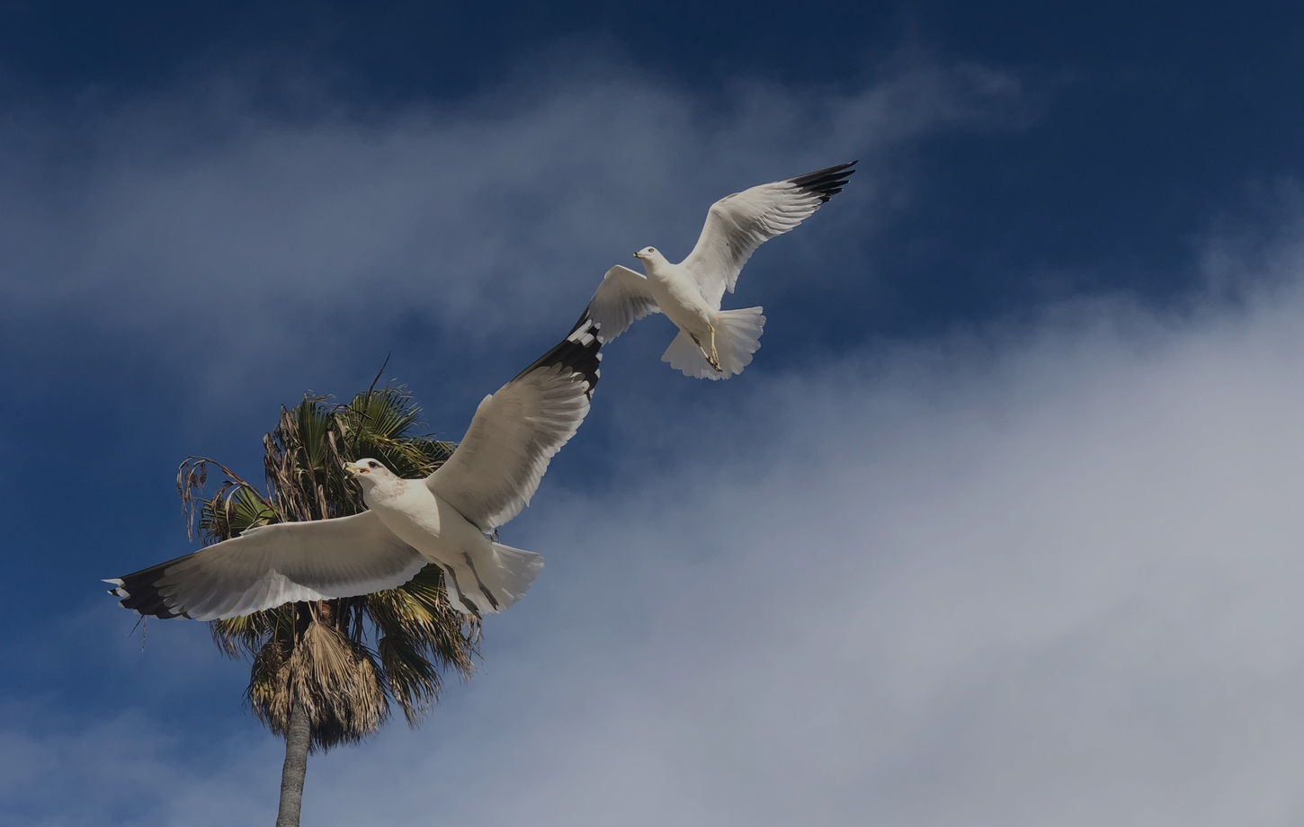IMG_7743_edited.jpg