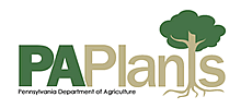 PA Plants