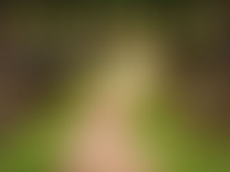 Exploring Life as Older Women