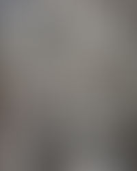 I See Forest