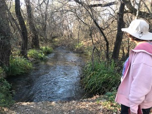 5 Ways to Lift Your Spirits Now