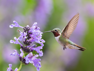 Embracing Your Ever-Changing Personal Work Style 