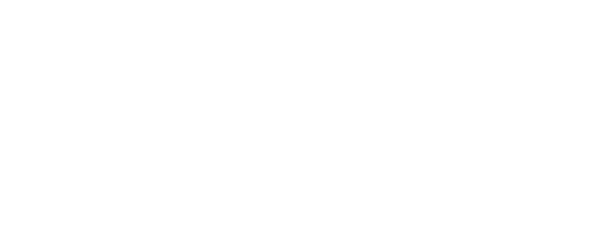 S+S Logo V1 2000 White.png