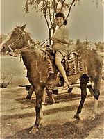 summer pony in waldoboro (3).jpeg