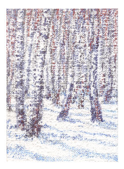 Березовий ситець (2)