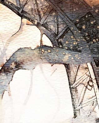 cover image.jpg