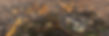 melb_edited.jpg