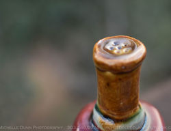 Bottle 2