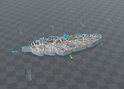 Feather